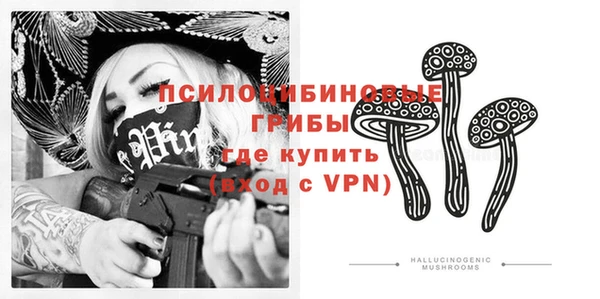 дживик Алексин