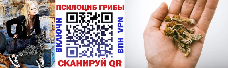 Галлюциногенные грибы Magic Shrooms  купить наркотики сайты  Омутнинск 